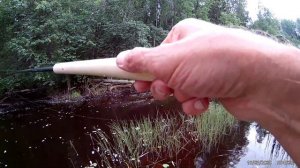 Тенкара и стример