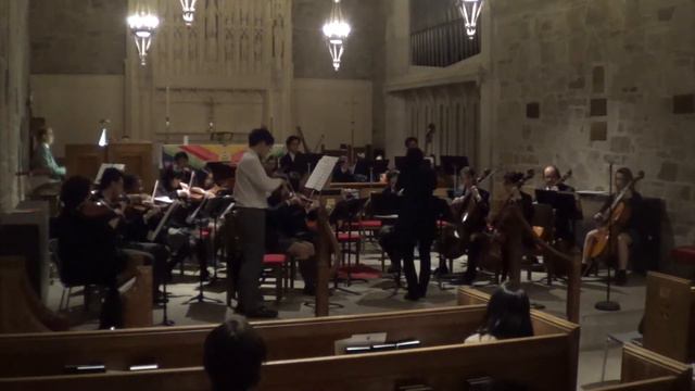 String Chamber Orchestra Adagio Tomaso Albinoni смотреть онлайн