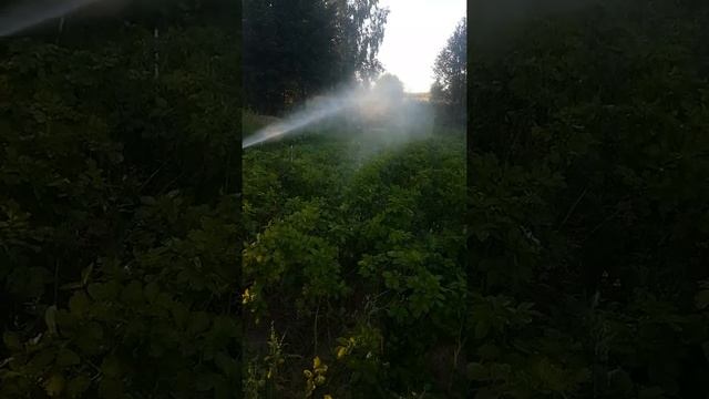 опрыскиватель из мойки высокого давления смотреть онлайн