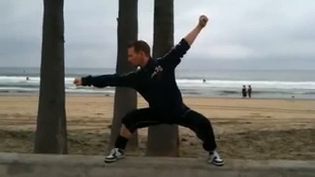 Wushu Stance Training II - Stefan Leoni смотреть онлайн