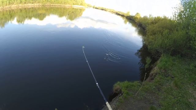 Рыбалка в Трубчевске (р. Десна, май 2019) смотреть онлайн