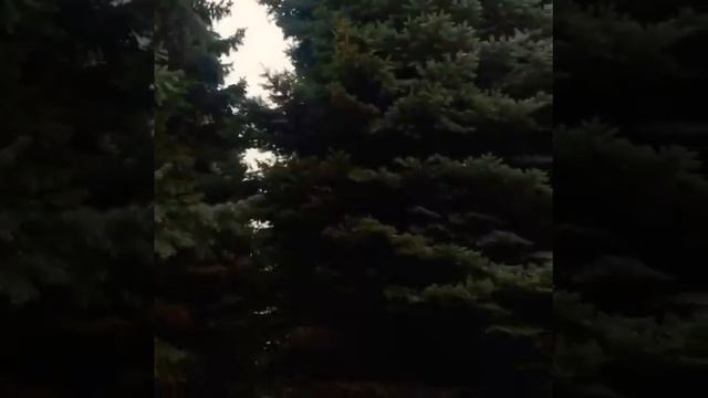 Бурение скважины Харьков на территории завода, фабрики, сто, автомойки, гостиницы иных предприятиях смотреть онлайн