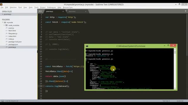 fetch Api and Promise in Nodejs смотреть онлайн