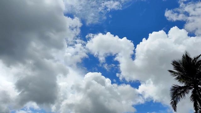 VHODD SONTOS KALLZANT GAITANA ALLELU-IA смотреть онлайн