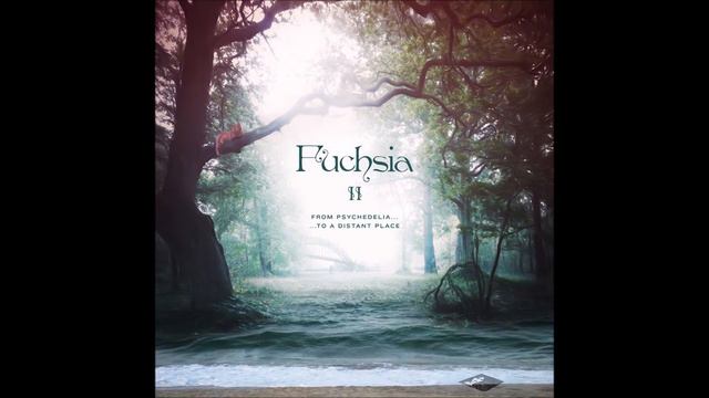 Fuchsia - Crossing the Big C (2013) смотреть онлайн