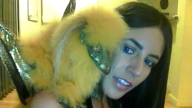 Drabbit Puppet Demonstration смотреть онлайн