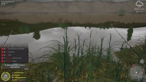 Русская рыбалка 4. В поисках угря на Суре. (р. Сура. #RussianFishing4)