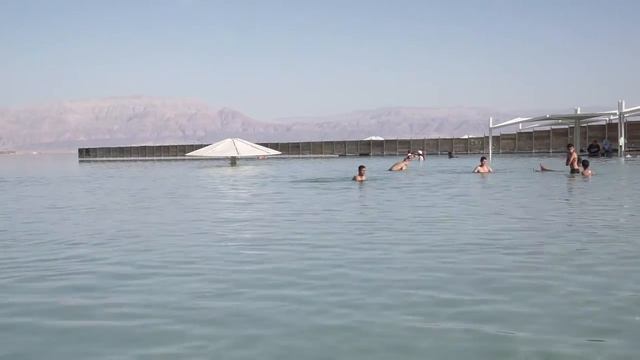 кузя и мертвое море смотреть онлайн