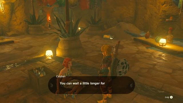 Getting Calyban to Fall for Link (Tears Of The Kingdom Easter Egg) #tearsofthekingdom (See Desc.) смотреть онлайн