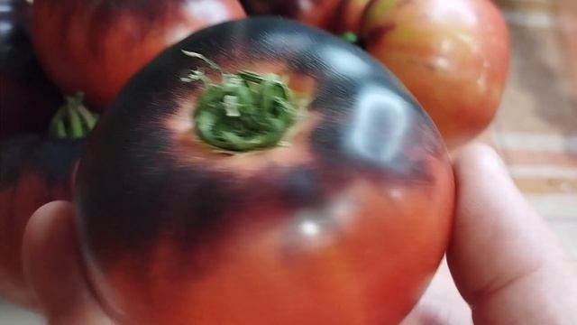 Томат Аметистовая драгоценность. Ватсап тел. 89229284031. г. Киров смотреть онлайн