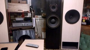 Полуторополосная акустика закрытый ящик широкополосник Ноэма 100гдш65 и нч ноэма 300гдн39