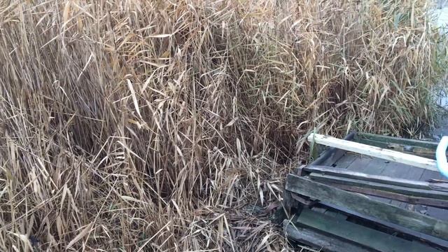 Как правильно выбрать мотопомпу смотреть онлайн