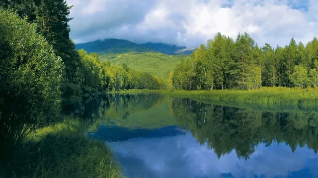 Sviatoslav Richter - Haydn - Piano Sonata in A major, Hob XVI-46 смотреть онлайн