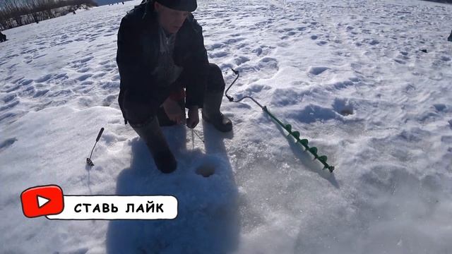1000 Рыбаков приехали за мирной рыбой, такого я еще не видел!!!Стригинский затон Нижний Новгород смотреть онлайн