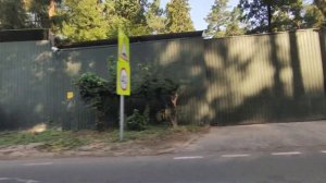 Николина гора, Московская область