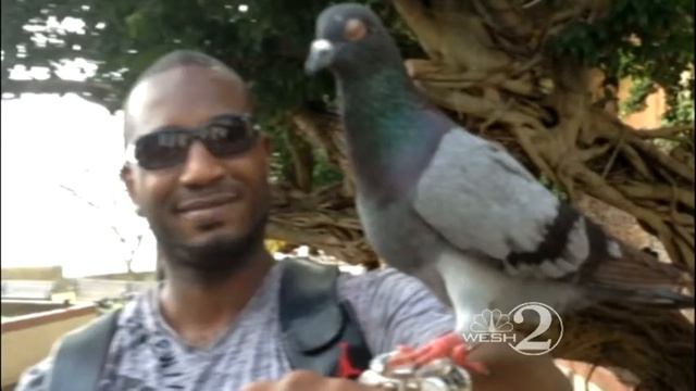 Deputies Hope Missing Jewelry Will Solve Slaying