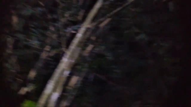 ?LIVE MISTERI MALAM INI || SETAN BIKIN KAGET смотреть онлайн