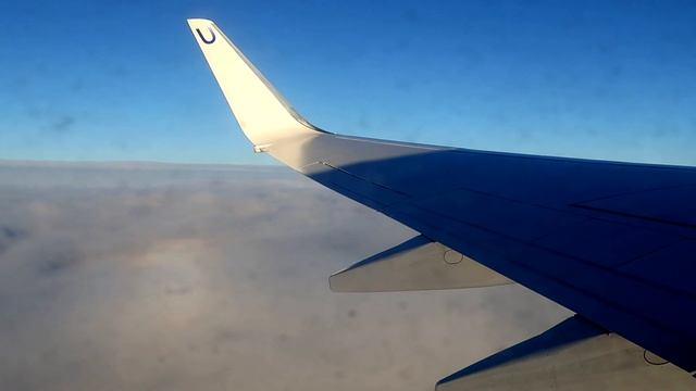 Boeing 737-800 UTair Пулково  - Москва