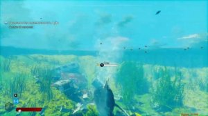 Maneater ➤ Золотой берег ➤ Все коллекционные предметы