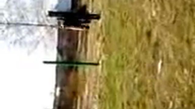 большой рост низкий турник смотреть онлайн