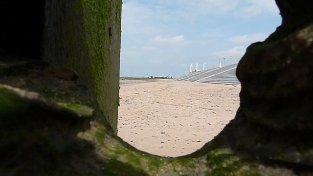 My Entry for The Global Video Comp for Sustainable Goals смотреть онлайн