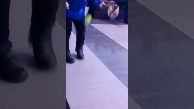 Спаривание молодых особей смотреть онлайн