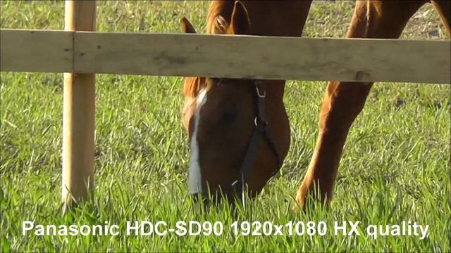Panasonic HDC-SD90 HX video quality and zoom test смотреть онлайн