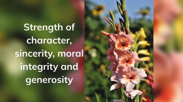 August birth month flower and meaning#borneachmonthareuniques смотреть онлайн