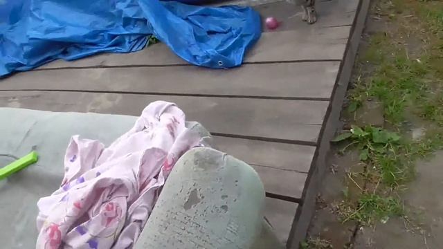 Дети приколы выдают - шариком в лицо! смотреть онлайн