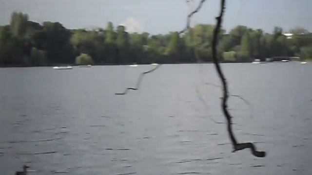 Digital Camera Samsung ES17 Test смотреть онлайн