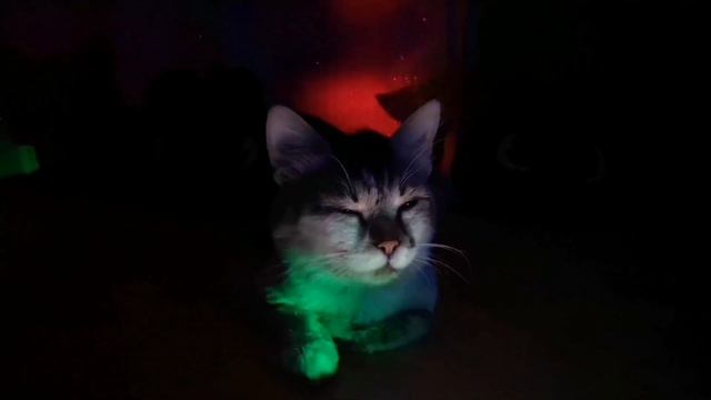 Страшная история Лохматая рука (страшилка #2) 16+ смотреть онлайн