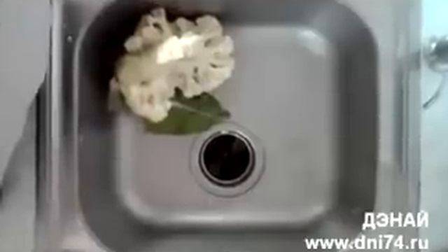 Измельчитель пищевых отходов в работе смотреть онлайн