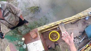 Ловля Раков на раколовки на Волге