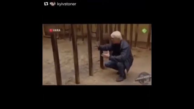 Даже детеныш носорога. смотреть онлайн