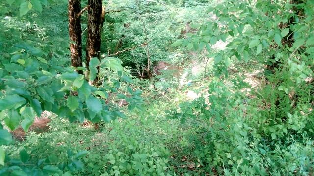 Ущелье в горном лесу с текущей рекой рядом с дорогой из Чинар в Садовое Gorge in the mountain fores смотреть онлайн