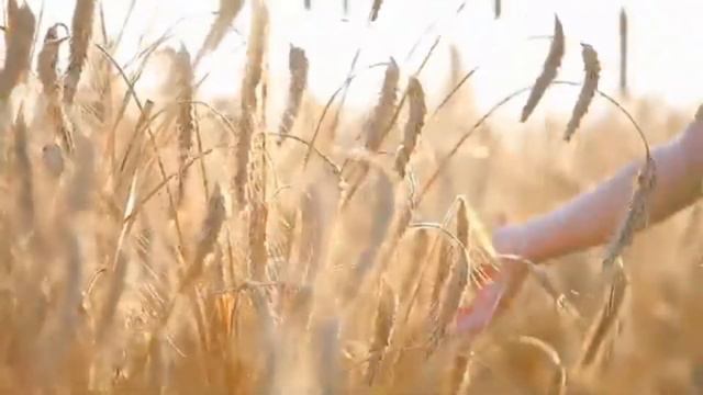 Сны Наташи. Музыка Вячеслава Камедина смотреть онлайн