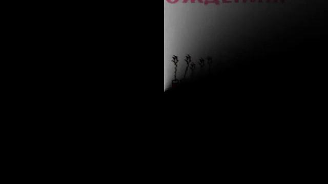 С Днем Рождения Марина смотреть онлайн