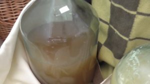 Как измерить крепость вина. Основные ошибки