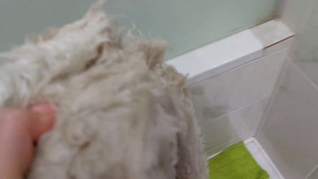 Вязальный влог 16-18.12.2022. Готовая шапка. Стираю овчину из икеи. Осторожно: ношеные носки! смотреть онлайн