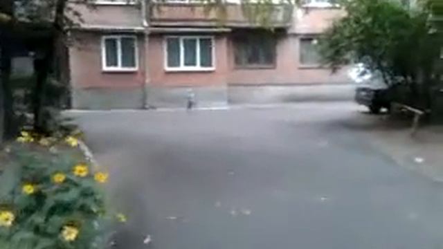 trolo scooter 2 yrs смотреть онлайн