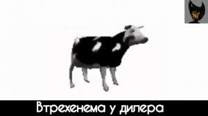 Как звучит «Tylko Jedno W Głowie Mam» на русском. Корова танцует под польскую песню. Флексит корова