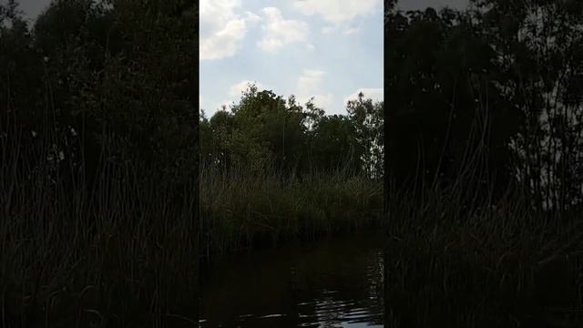 zodiac futura groningen stad en omstreken(2) смотреть онлайн