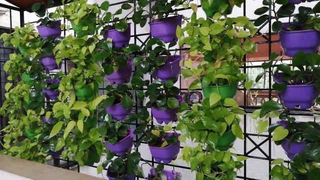 Vertical Garden смотреть онлайн