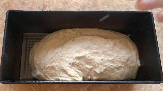 Полезный Амарантовый хлеб ? How to make amaranth bread смотреть онлайн