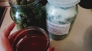 Заливаем МЁДОМ сосновые шишки. Самый полезный вариант. Вторую банку сахаром.