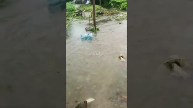 На Сахалине после ливня ручей изменил русло и теперь течёт прямо по огороду смотреть онлайн
