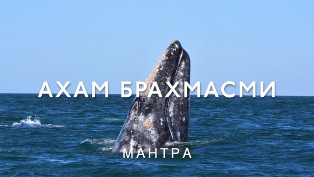 День 2. Марафон Изобилия Дипака Чопры. 21 День Изобилия смотреть онлайн