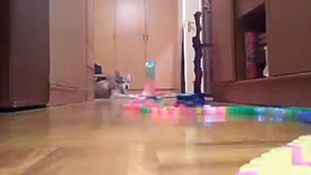 2 рекламные заставки NEW TV Машина роняет камеру (02.01.18,21:26?)