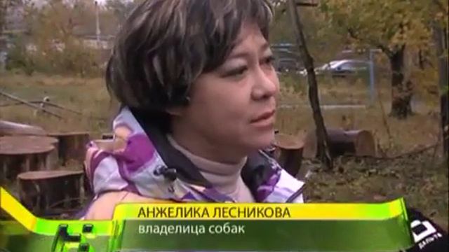 Эвтаназия близко Как уберечь домашних животных1 смотреть онлайн