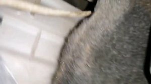 Toyota Caldina et196 (Печка Дует Холодом)